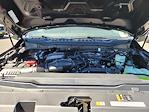 New 2025 Ford F-250 XLT Crew Cab 4x4 Pickup for sale #F362626 - photo 20