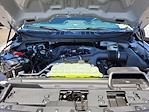 New 2025 Ford F-150 STX SuperCrew Cab Pickup for sale #F362632 - photo 22