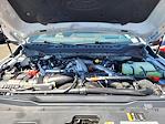 2025 Ford F-250 Crew Cab 4WD Pickup for sale #F362641 - photo 21
