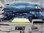 2025 Ford F-150 SuperCrew Cab 4x2 Pickup for sale #F362733 - photo 21
