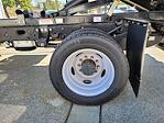 2024 Ford F-550 Regular Cab DRW 4WD Galion Dump Truck for sale #F362749 - photo 14