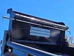 2024 Ford F-550 Regular Cab DRW 4WD Galion Dump Truck for sale #F362749 - photo 16