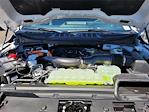 2025 Ford F-150 SuperCrew Cab 4x4 Pickup for sale #F362759 - photo 22