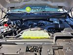 New 2025 Ford F-150 STX SuperCrew Cab Pickup for sale #F362767 - photo 22
