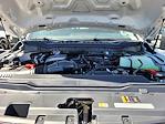 New 2025 Ford F-250 XLT Crew Cab 4x4 Pickup for sale #F362771 - photo 22