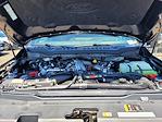 New 2025 Ford F-250 Platinum Crew Cab 4x4 Pickup for sale #F362780 - photo 22