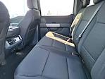 New 2025 Ford F-150 XLT SuperCrew Cab 4x4 Pickup for sale #F362833 - photo 13