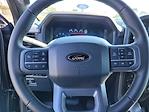 New 2025 Ford F-150 XLT SuperCrew Cab 4x4 Pickup for sale #F362833 - photo 20