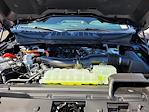 New 2025 Ford F-150 XLT SuperCrew Cab 4x4 Pickup for sale #F362833 - photo 22