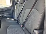 New 2025 Ford Ranger XLT SuperCrew Cab 4x4 Pickup for sale #F362998 - photo 11