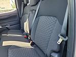 New 2025 Ford Ranger XLT SuperCrew Cab Pickup for sale #F363022 - photo 11