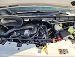 New 2025 Ford Transit 250 Medium Roof Empty Cargo Van for sale #F363101 - photo 40