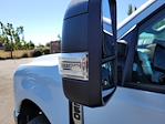 2025 Ford F-250 Regular Cab 4x2 Royal Service Truck for sale #F363117 - photo 17