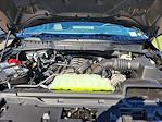 New 2025 Ford F-150 Tremor SuperCrew Cab 4x4 Pickup for sale #F363194 - photo 20