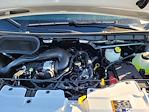 New 2026 Ford Transit 250 Medium Roof Empty Cargo Van for sale #F363245 - photo 41