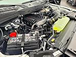 SUPERCHARGED 2025 Ford F-150 Regular Cab 4x4 Pickup for sale #F363348 - photo 29