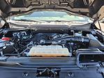 2021 Ford F-150 Regular Cab 4WD Pickup for sale #FU22976 - photo 35