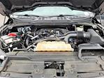2022 Ford F-150 SuperCrew Cab 4x2 Pickup for sale #FU361631A - photo 36