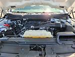2022 Ford F-150 Regular Cab 4x2 Pickup for sale #FU362599A - photo 36