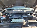 2022 Ford F-150 SuperCrew Cab 4x4 Pickup for sale #FU363568A - photo 34