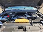 2019 Ford F-150 SuperCrew Cab 4x4 Pickup for sale #FU94533A - photo 36