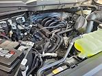 2024 Ford F-150 SuperCrew Cab 4x4 Pickup for sale #N15031 - photo 21
