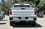 2024 Chevrolet Silverado 1500 Regular Cab 4x2 Pickup for sale #28431 - photo 5
