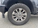 2020 Ford F-250 Crew Cab 4WD Pickup for sale #28692 - photo 10