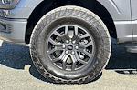2024 Ford F-150 SuperCrew Cab 4WD Pickup for sale #28776 - photo 25