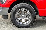 2021 Ford F-150 SuperCrew Cab 4WD Pickup for sale #28796 - photo 26