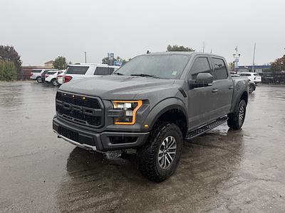 2020 Ford F-150 SuperCrew Cab 4WD Pickup for sale #28838 - photo 1