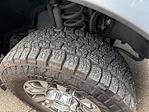 2020 Ford F-350 Crew Cab SRW 4WD Pickup for sale #28866 - photo 10