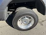 2021 Ford F-450 Crew Cab DRW 4WD Pickup for sale #29094 - photo 11