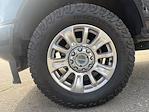 2022 Ford F-250 Crew Cab 4WD Pickup for sale #29120 - photo 8