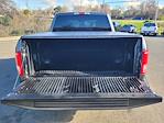 Used 2017 Ford F-150 XLT SuperCrew Cab for sale #AXF51815 - photo 8