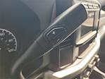 2024 Ford F-450 Crew Cab DRW 4x4 Pickup for sale #F51427 - photo 17