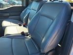 2024 Ford F-150 Regular Cab 4WD Pickup for sale #F51495 - photo 11