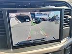 2024 Ford F-150 Regular Cab 4WD Pickup for sale #F51495 - photo 20