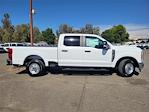 New 2024 Ford F-250 XL Crew Cab Pickup for sale #FL3317 - photo 6