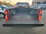 Used 2024 Ford F-250 Platinum Crew Cab for sale #P51891 - photo 8