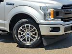 2019 Ford F-150 SuperCrew Cab 4x2 Pickup for sale #XF50844 - photo 6