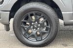 Used 2024 Ford F-150 STX SuperCrew Cab for sale #RKD93276T - photo 25