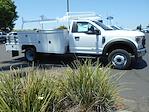 New 2022 Ford F-550 XL Regular Cab 4x2 12' Scelzi Combo Body for sale #10468 - photo 4