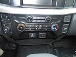 2024 Ford F-250 Regular Cab 4x4, Pickup for sale #11196 - photo 6