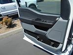 2024 Ford F-250 Crew Cab 4x4 Pickup for sale #12319 - photo 18