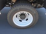 2024 Ford F-550 Regular Cab DRW 4x4 Scelzi Combo Body for sale #84642 - photo 10