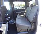2024 Ford F-150 SuperCrew Cab 4x4 Pickup for sale #12475 - photo 2