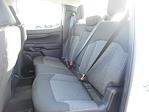 2024 Ford Ranger SuperCrew Cab 4x2, Pickup for sale #13105 - photo 28