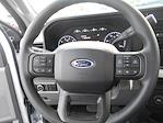 2024 Ford F-250 Regular Cab 4x2 Pickup for sale #13213 - photo 30