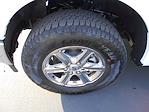 2024 Ford F-150 SuperCrew Cab 4x4 Pickup for sale #13267 - photo 34